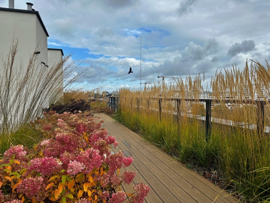 Warszawa, Mokotów, Bokserska, Dwustronne|Patio na dachu|Parking|Balkon|KW