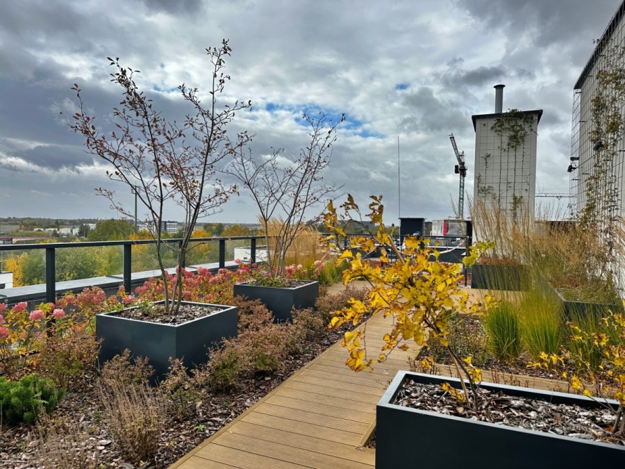 Warszawa, Mokotów, Bokserska, Dwustronne|Patio na dachu|Parking|Balkon|KW