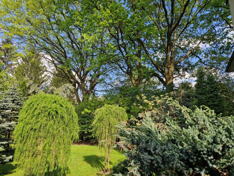 powiat wołomiński, Zielonka, Dom wolnostojący | Duża działka