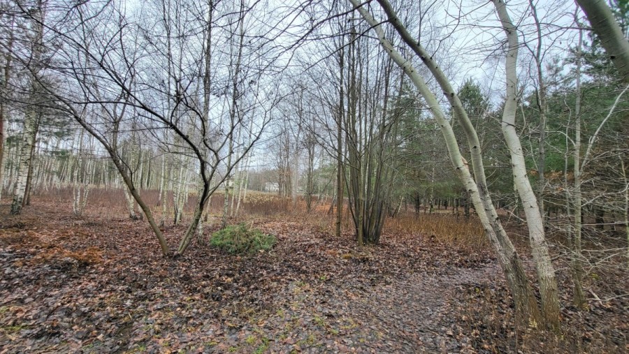 Warszawa, Wawer Aleksandrów Trzeci, Działka pod zabudowę bliźniaczą.