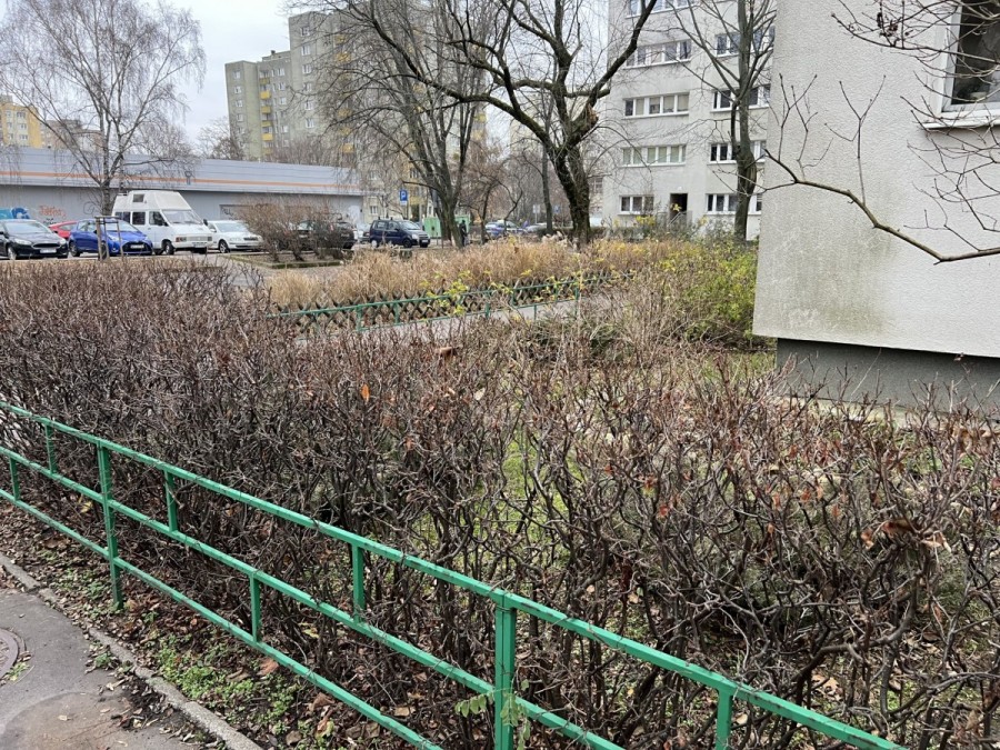 Warszawa, Bielany Piaski, Jana Kochanowskiego, Mieszkanie 3-pokojowe od zaraz. Warszawa Bielany