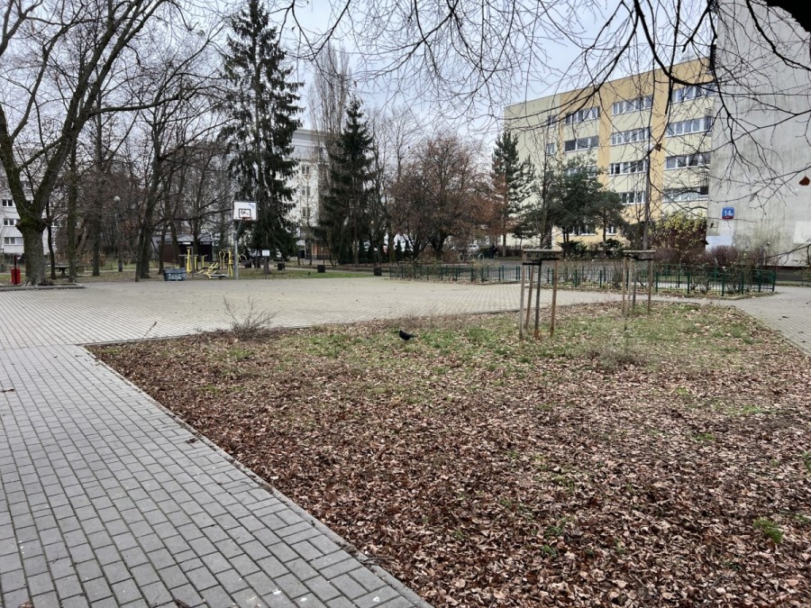 Warszawa, Bielany Piaski, Jana Kochanowskiego, Mieszkanie 3-pokojowe od zaraz. Warszawa Bielany