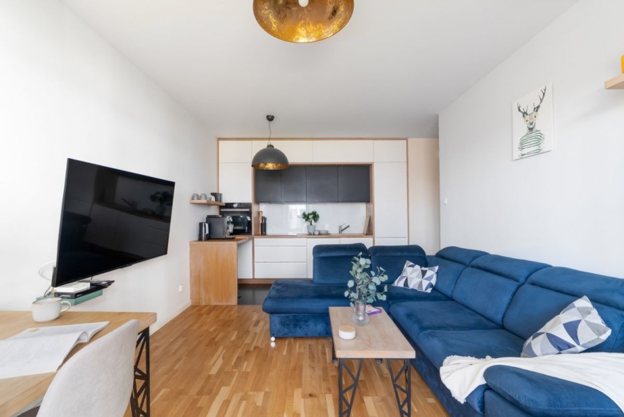 Warszawa, Praga-Południe Kamionek, Żupnicza, Mieszkanie z dużą loggią na Soho Factory *Kamionek