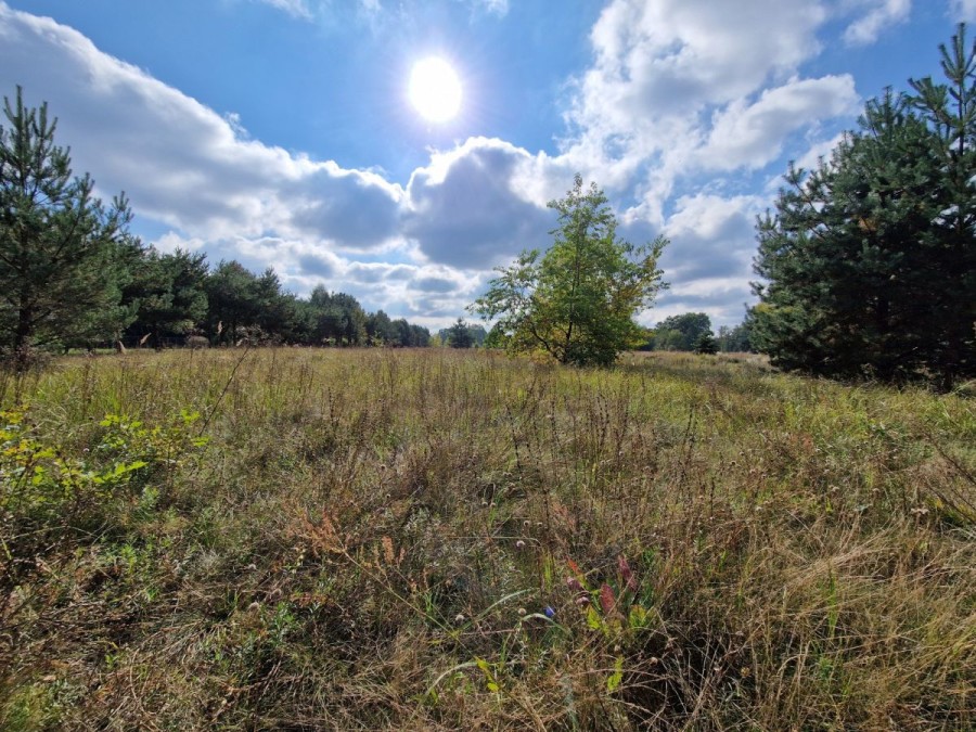 powiat legionowski, Sikory, Atrakcyjna działka w dobrej cenie