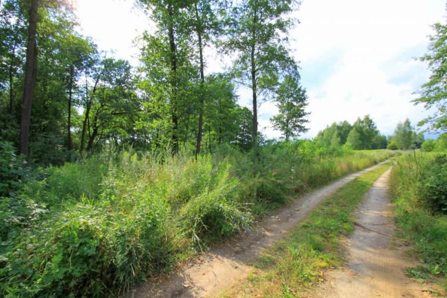 powiat nowodworski, Secymin Polski, Działka rekreacyjna, zabudowa na zgłoszenie do 70m