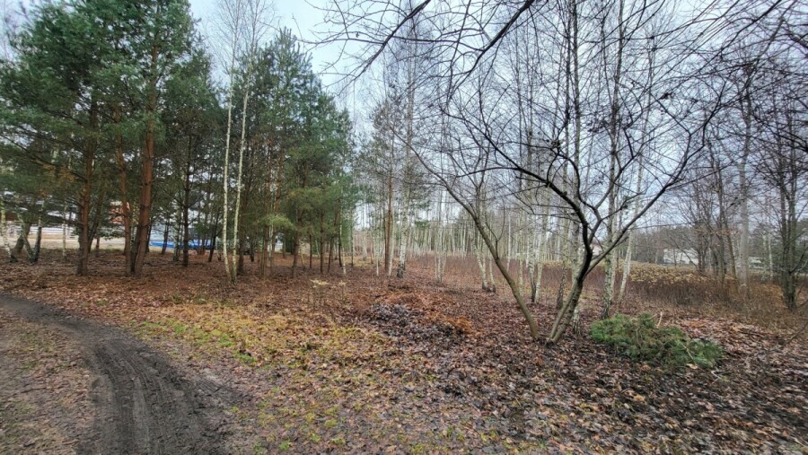 Warszawa, Wawer Aleksandrów Trzeci, Warunki zabudowy