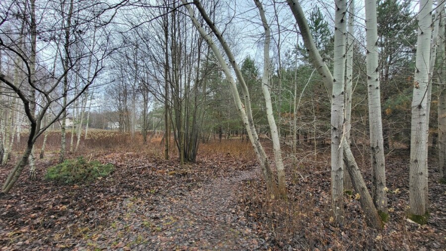 Warszawa, Wawer Aleksandrów Trzeci, Warunki zabudowy