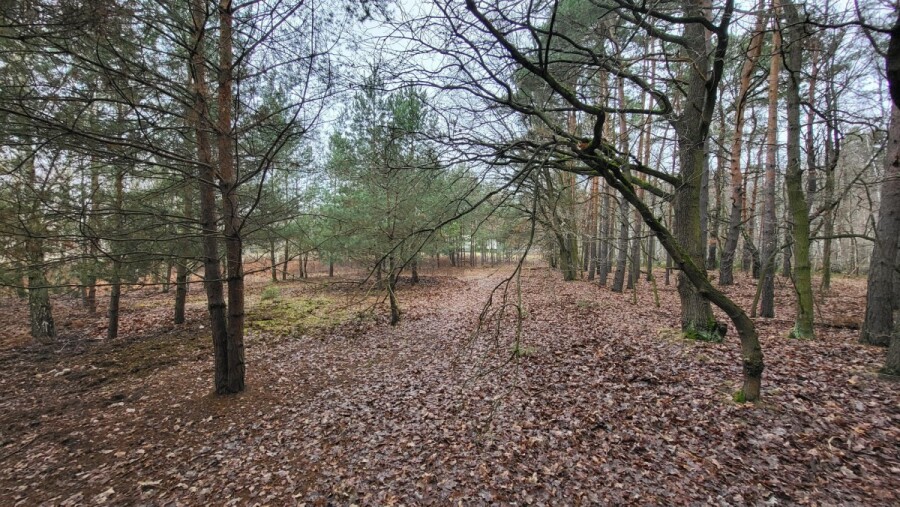 Warszawa, Wawer Aleksandrów Trzeci, Warunki zabudowy
