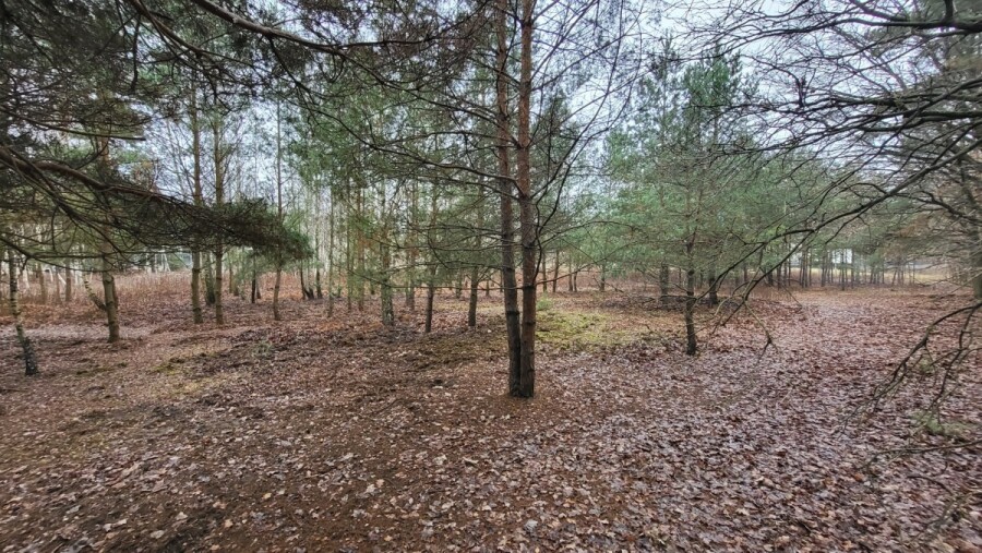 Warszawa, Wawer Aleksandrów Trzeci, Warunki zabudowy