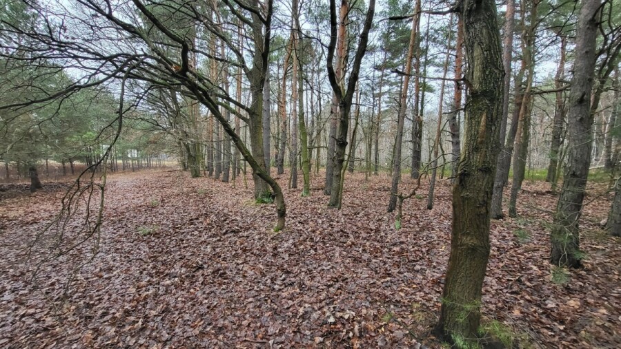 Warszawa, Wawer Aleksandrów Trzeci, Warunki zabudowy