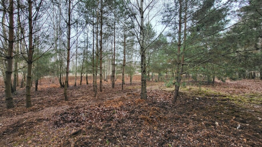 Warszawa, Wawer Aleksandrów Trzeci, Warunki zabudowy