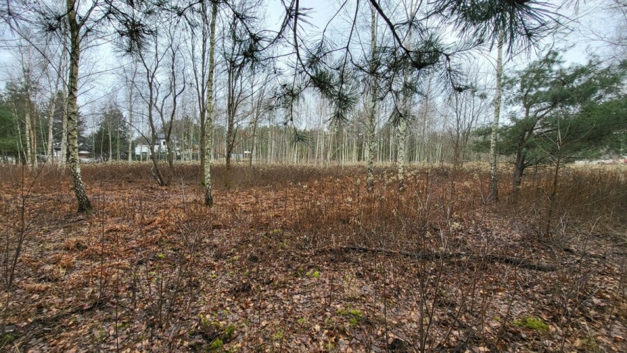 Warszawa, Wawer Aleksandrów Trzeci, Warunki zabudowy