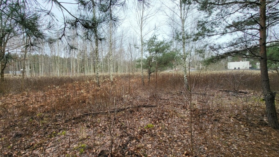 Warszawa, Wawer Aleksandrów Trzeci, Warunki zabudowy