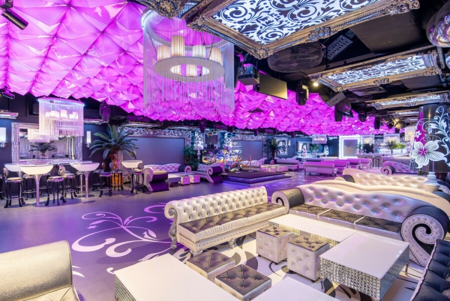 powiat piaseczyński, Piaseczno, Młynarska, LUKSUSOWY OBIEKT 1200 M² W CAŁOŚCI LUB 2 PIĘTRA