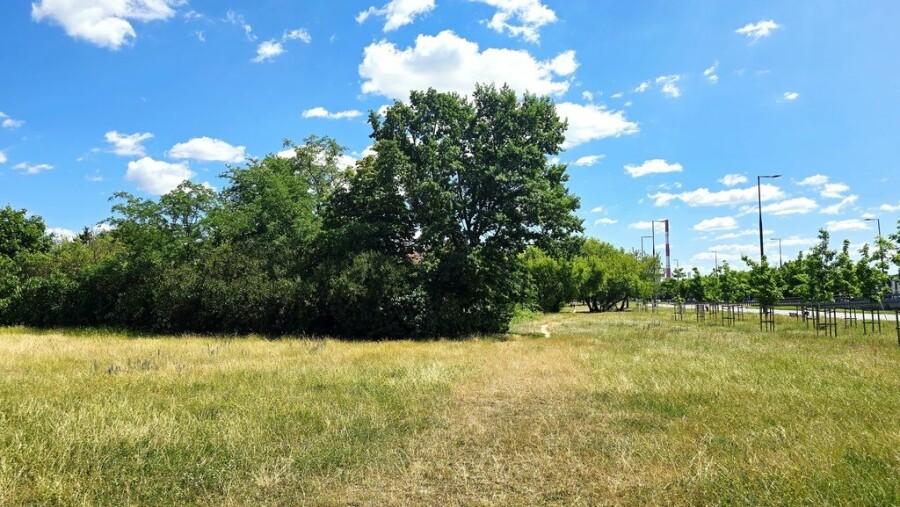 Warszawa, Białołęka, Działka ul. Modlińska, PUU/PUM: 4516m2, Unikat!