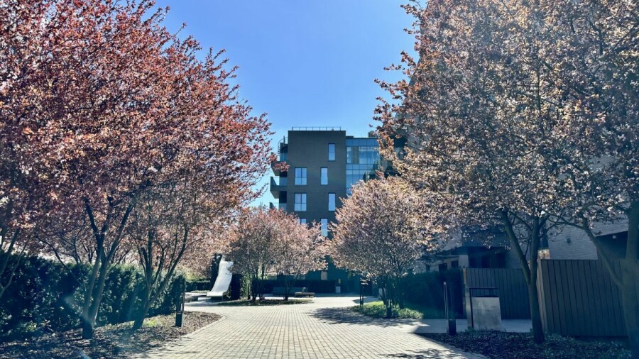 Warszawa, Bemowo, Jerzego Waldorffa, Spokojna okolica | Prestiż | Fort Bema | Cisza