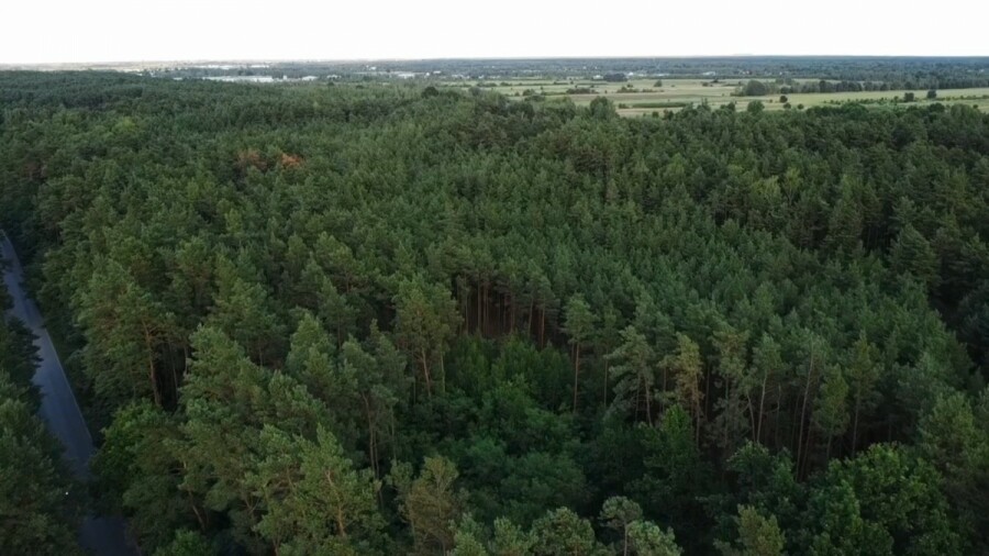powiat nowodworski, Czosnów, Pańska, Działka na sprzedaż