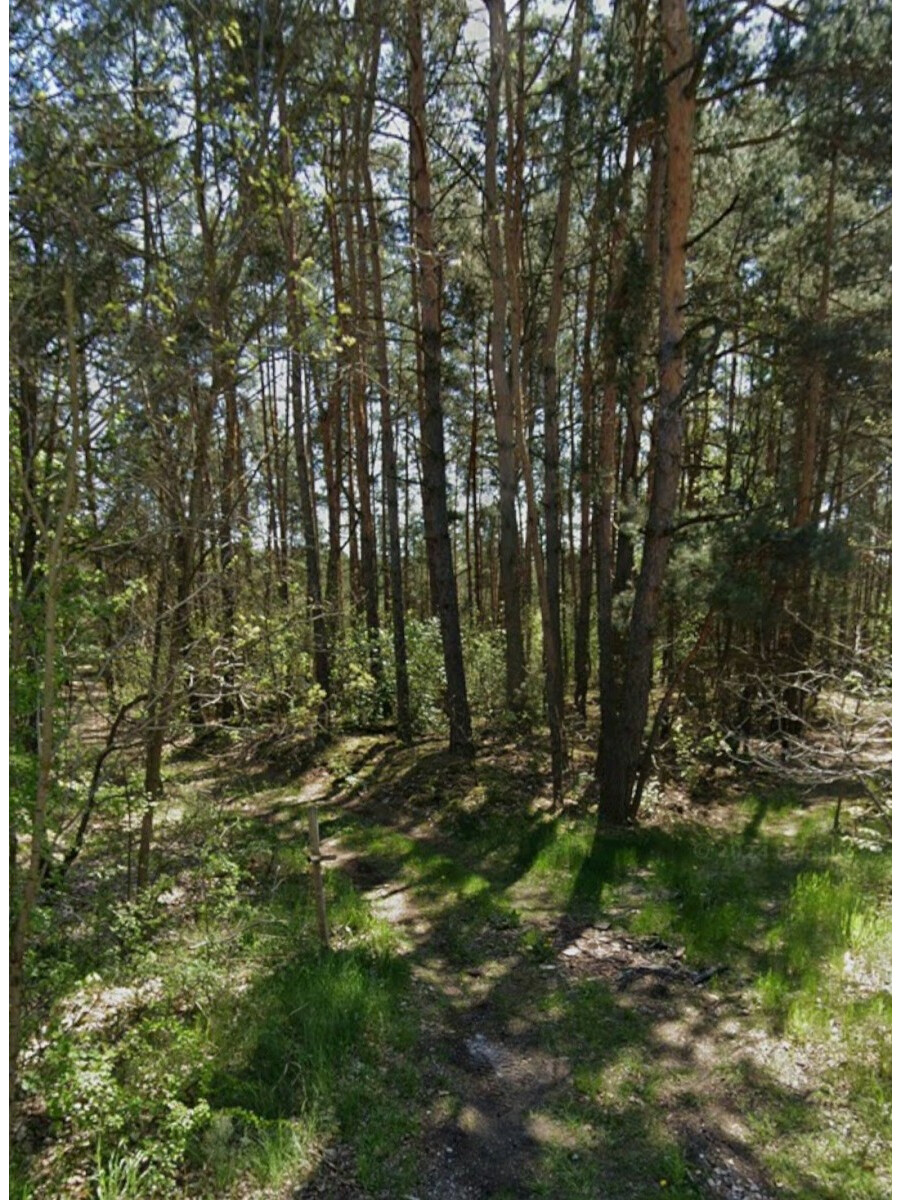 powiat nowodworski, Czosnów, Pańska, Działka na sprzedaż