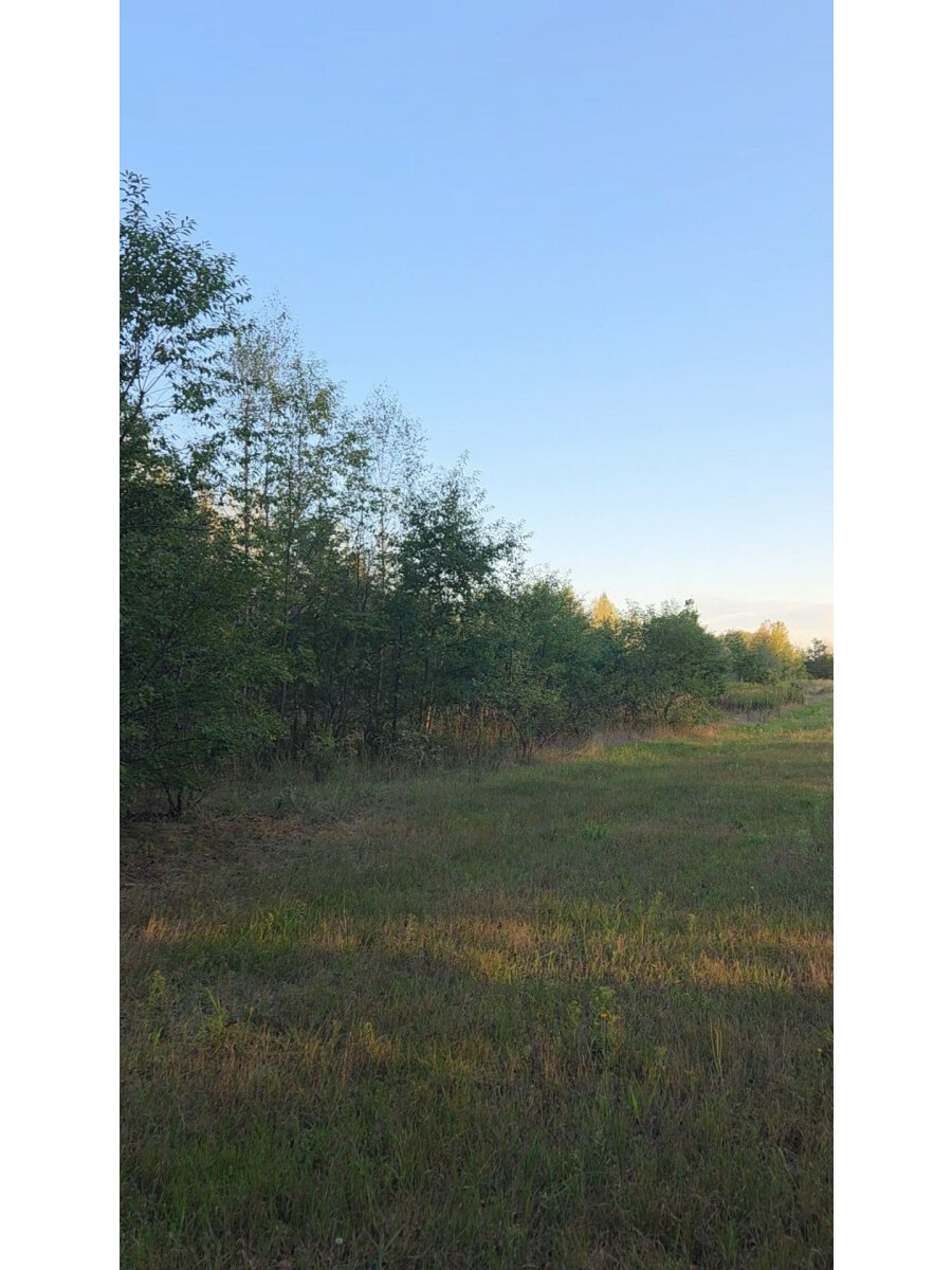 powiat nowodworski, Czosnów, Żwirowa, Grunt 1,27 ha | budowlano-rolny | gm. Czosnów