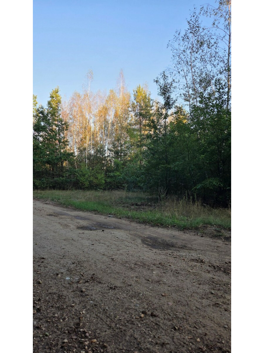 powiat nowodworski, Czosnów, Żwirowa, Grunt 1,27 ha | budowlano-rolny | gm. Czosnów