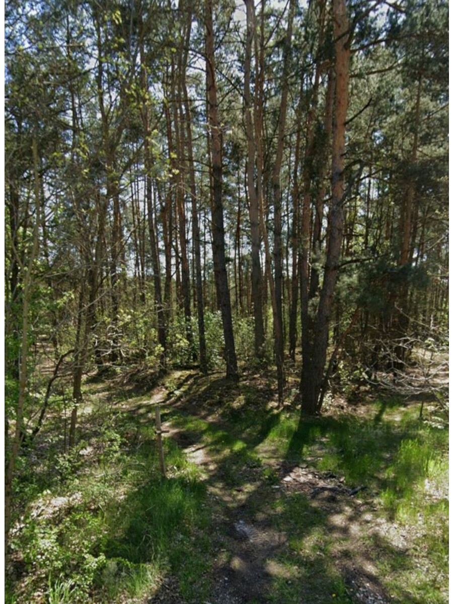 powiat nowodworski, Czosnów, Pańska, Działka leśna 1084m2 | pod Warszawą