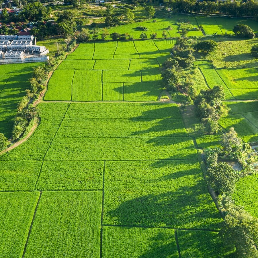 Warszawa, Wilanów Powsin, Dobrodzieja, MPZP | 2400m2 | media| Wilanów - Powsin