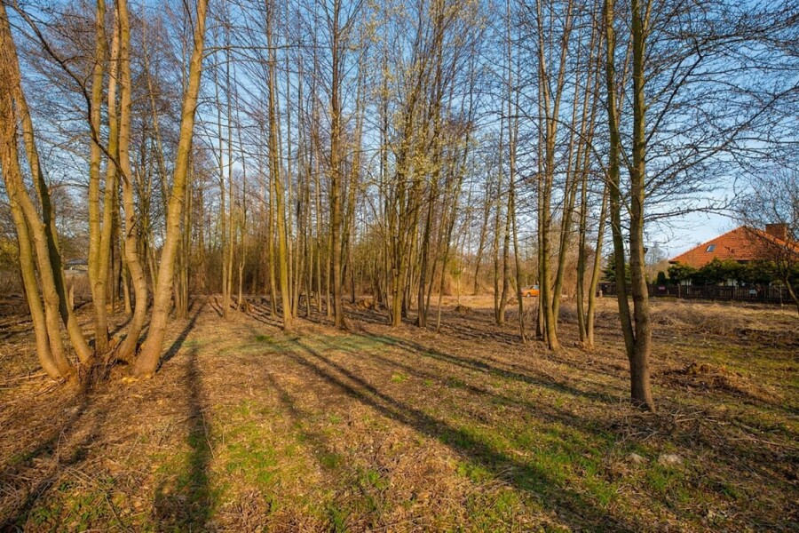 Warszawa, Białołęka, Sielska, Działka budowlana 1100 m² – Warszawa Białołęka – W