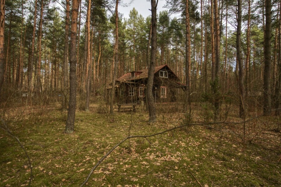 powiat wołomiński, Łosie, Działka w otoczeniu lasu | 1900 m²/MPZP | Łosie