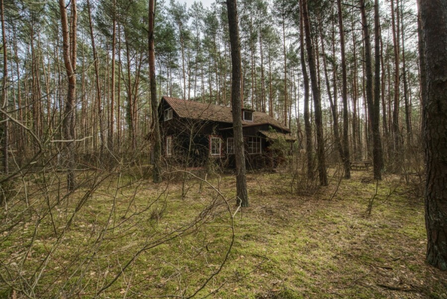 powiat wołomiński, Łosie, Ptasia, Działka w otoczeniu lasu | 1900 m²/MPZP | Łosie