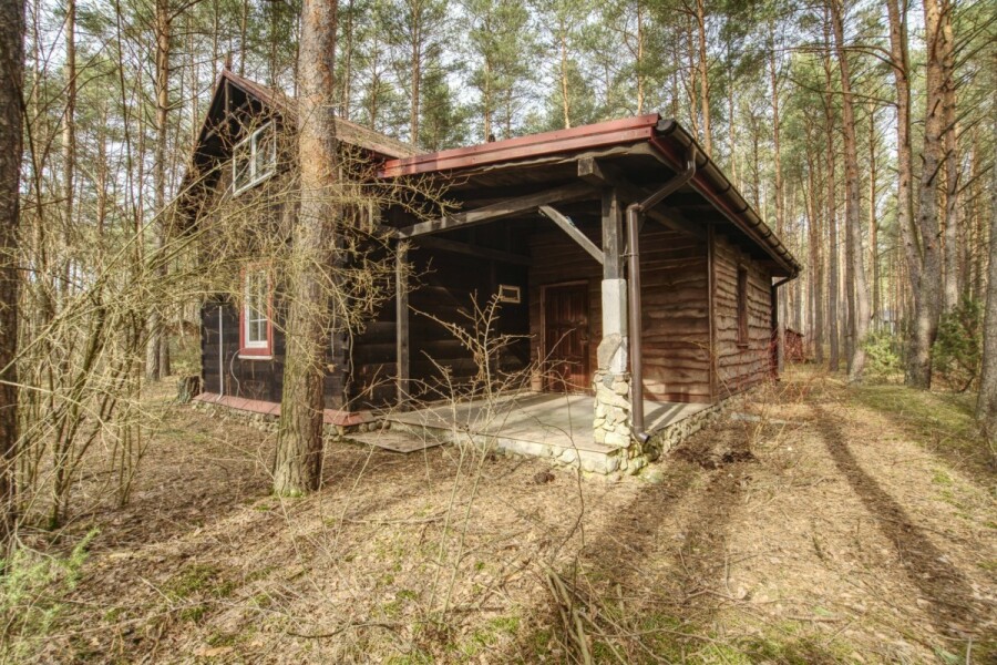 powiat wołomiński, Łosie, Ptasia, Działka w otoczeniu lasu | 1900 m²/MPZP | Łosie