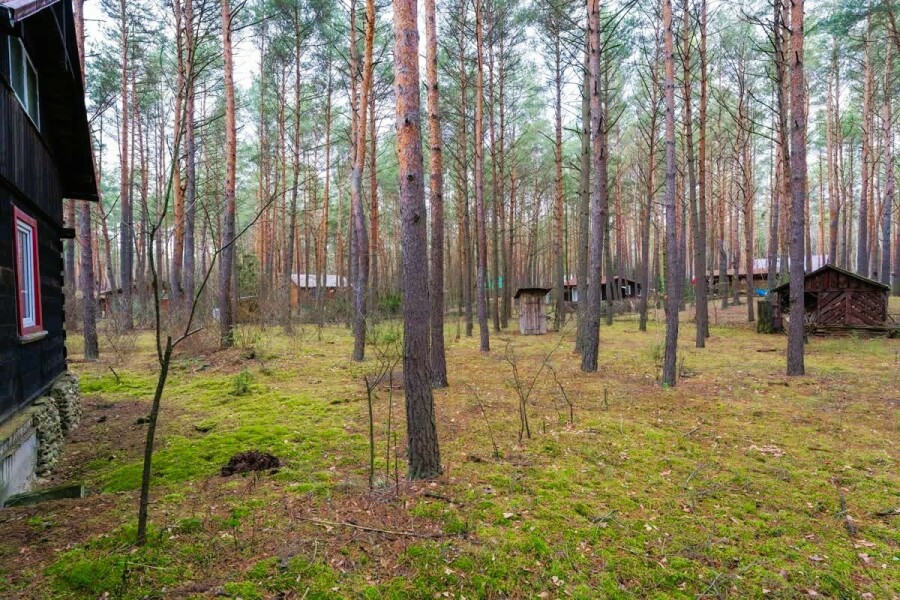 powiat wołomiński, Łosie, Ptasia, Działka w otoczeniu lasu | 1900 m²/MPZP | Łosie