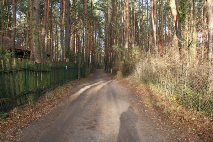 powiat wołomiński, Łosie, Ptasia, Działka w otoczeniu lasu | 1900 m²/MPZP | Łosie