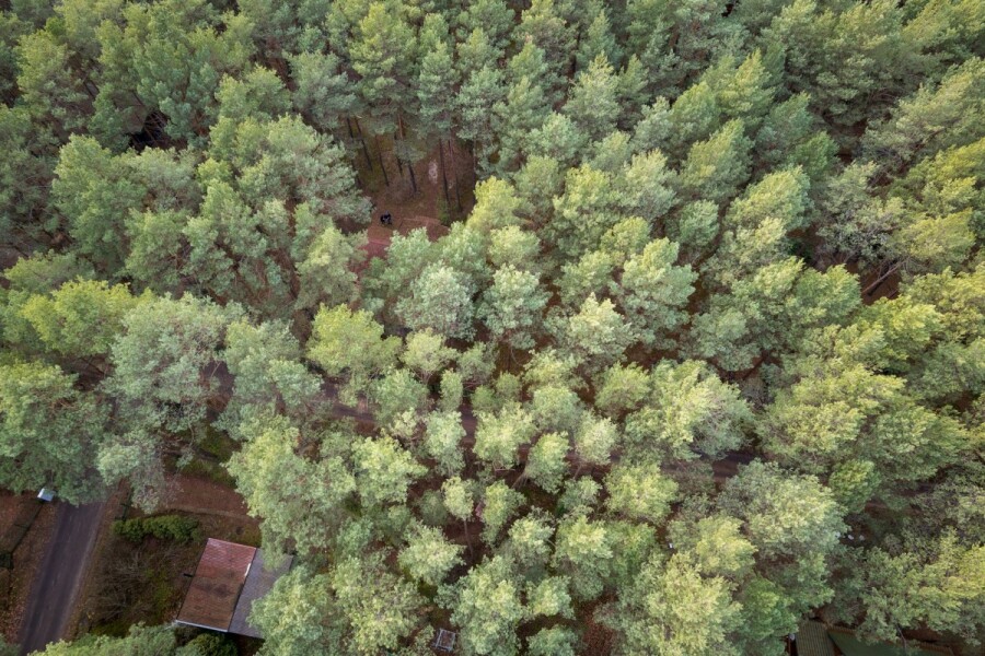 powiat wołomiński, Łosie, Ptasia, Działka w otoczeniu lasu | 1900 m²/MPZP | Łosie