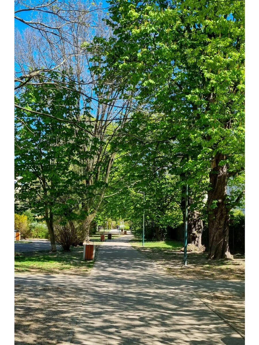 Warszawa, Ursynów Kabaty, Przy Bażantarni, Mieszkanie na sprzedaż