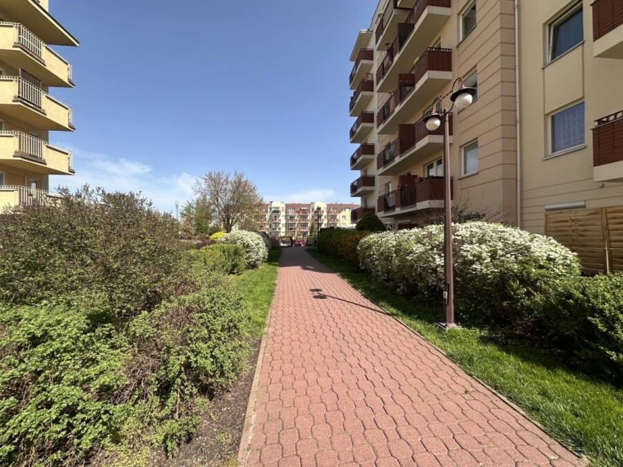 Warszawa, Ursus Skorosze, Tomcia Palucha, 3 pokoje | Skorosze | do wprowadzenia