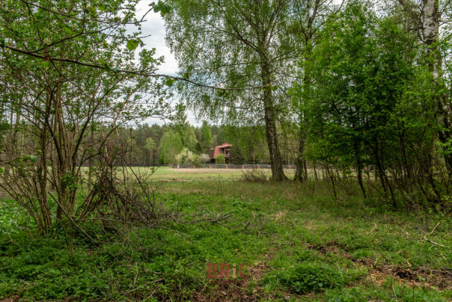 powiat wyszkowski, Dębienica, Drewniany dom rustykalny z pracownią na 2,31 ha