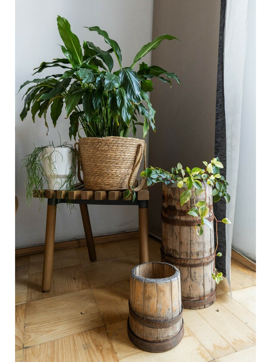 Warszawa, Praga-Północ, Wileńska, M3 - 45m² - Balkon - METRO - Dwustronne