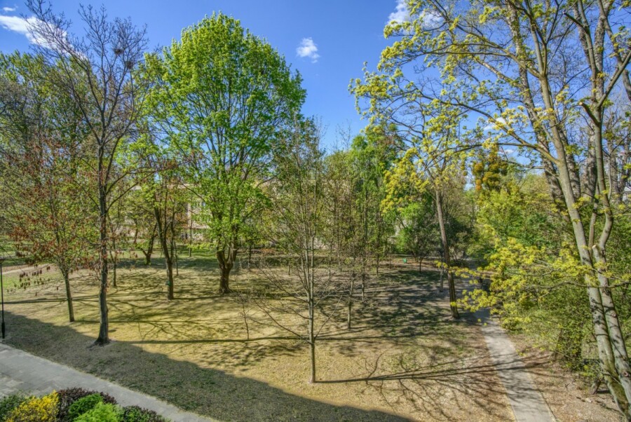 Warszawa, Wola, Czorsztyńska, METRO Młynów, zieleń, cisza, park