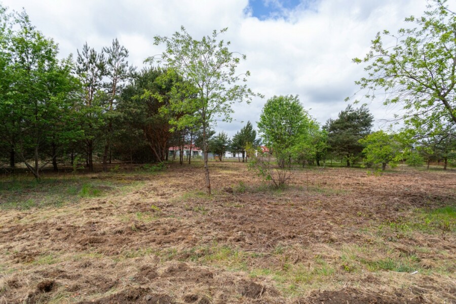 powiat legionowski, Rajszew, Polna, Działka budowlana 3379 m² I Rajszew k. Warszawy