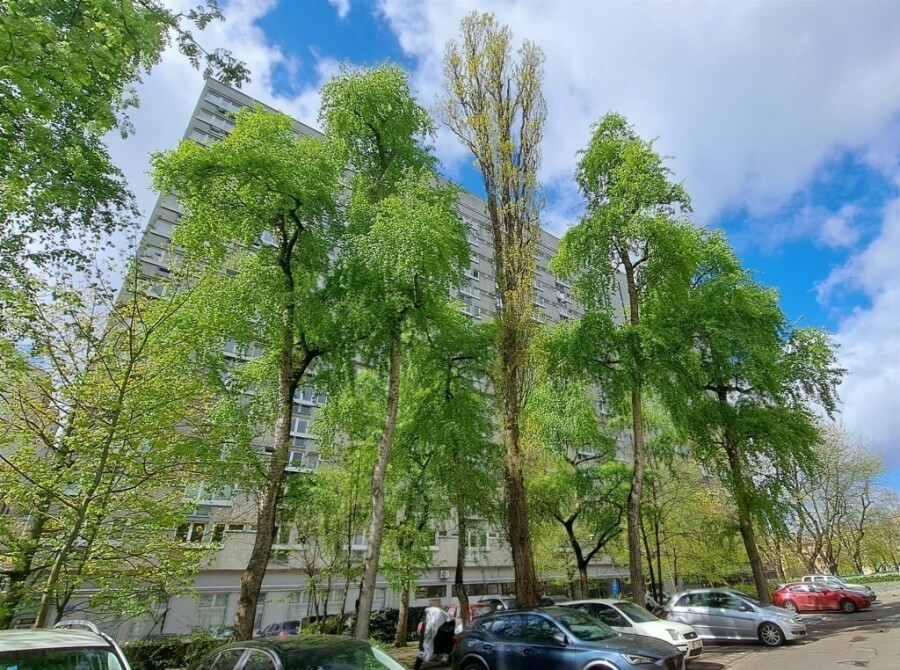 Warszawa, Śródmieście, Mieszkanie na wynajem