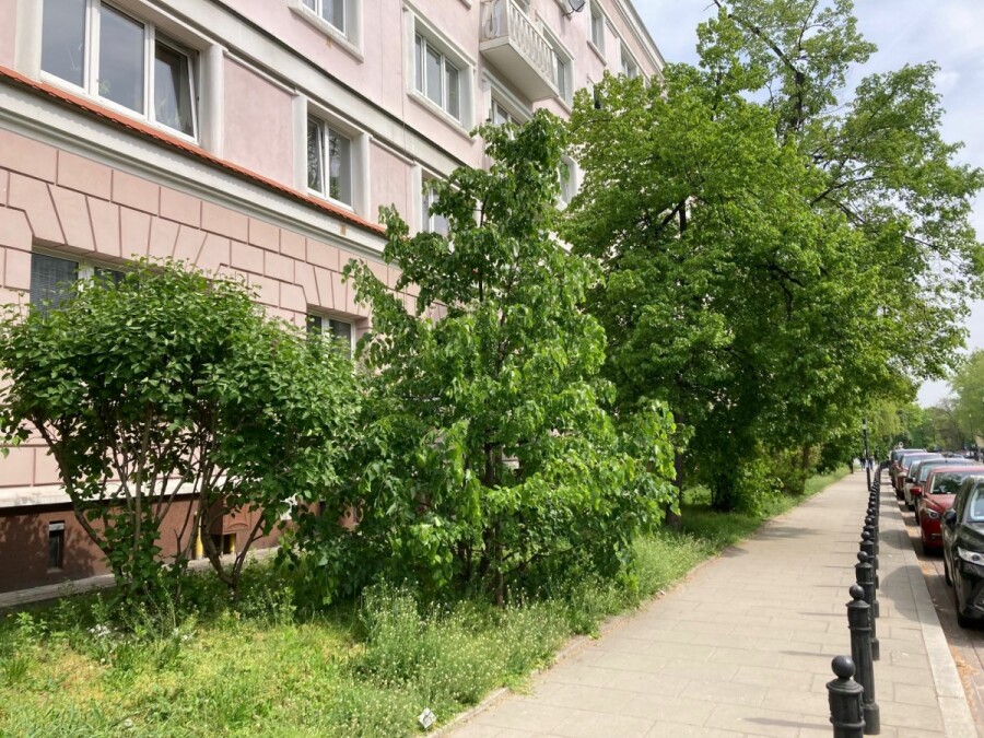 Warszawa, Śródmieście, Dla singla lub pary - Śródmieście Muranów