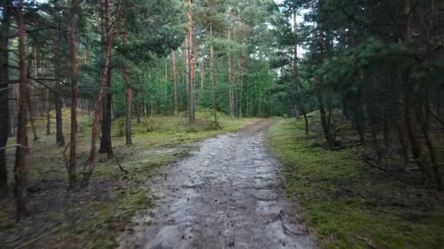powiat nowodworski, Czosnów, Działka na sprzedaż
