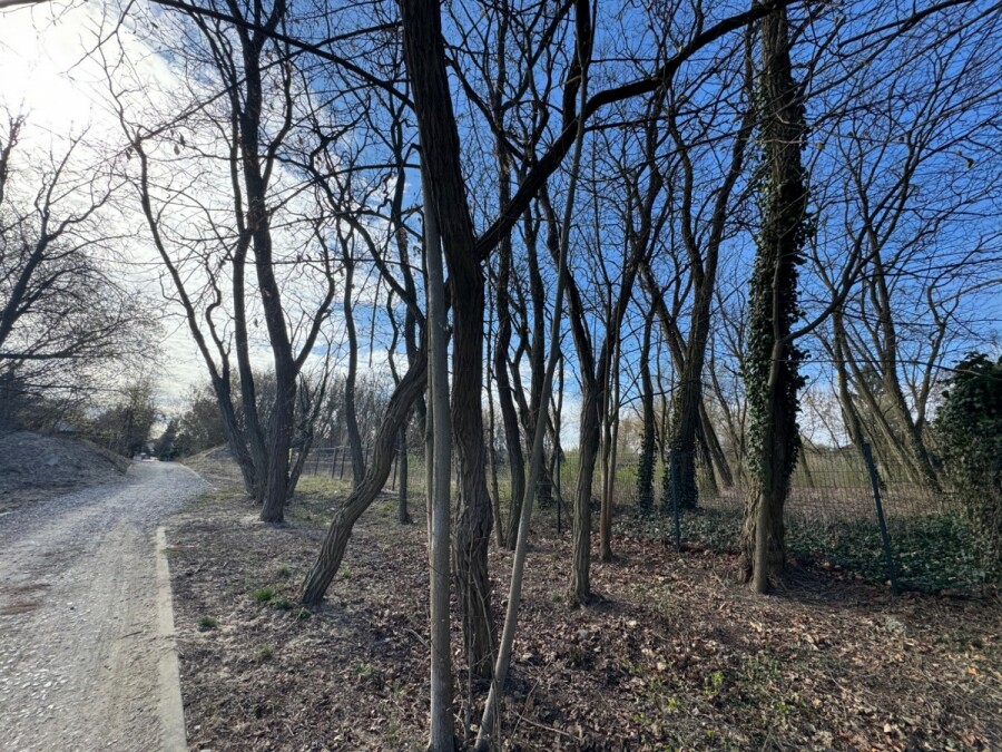 Warszawa, Bielany, DZIAŁKA BUDOWLANA MŁOCINY AKTUALNA WZ