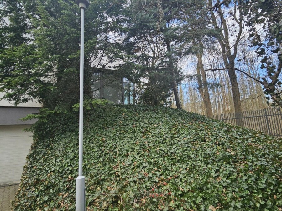 Warszawa, Bielany Młociny, Hieroglif, Bielany, ciche