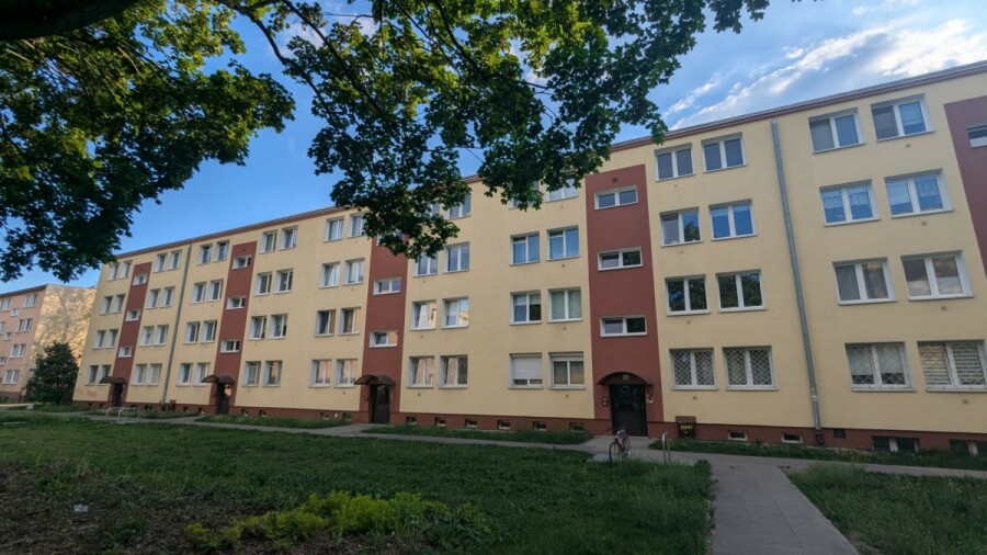 Warszawa, Praga-Południe, Kinowa, Jasne mieszkanie w otoczeniu zieleni | Piwnica