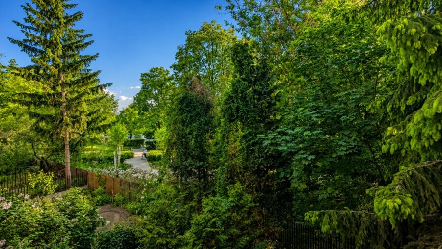 Warszawa, Praga-Południe, Kinowa, Jasne mieszkanie w otoczeniu zieleni | Piwnica
