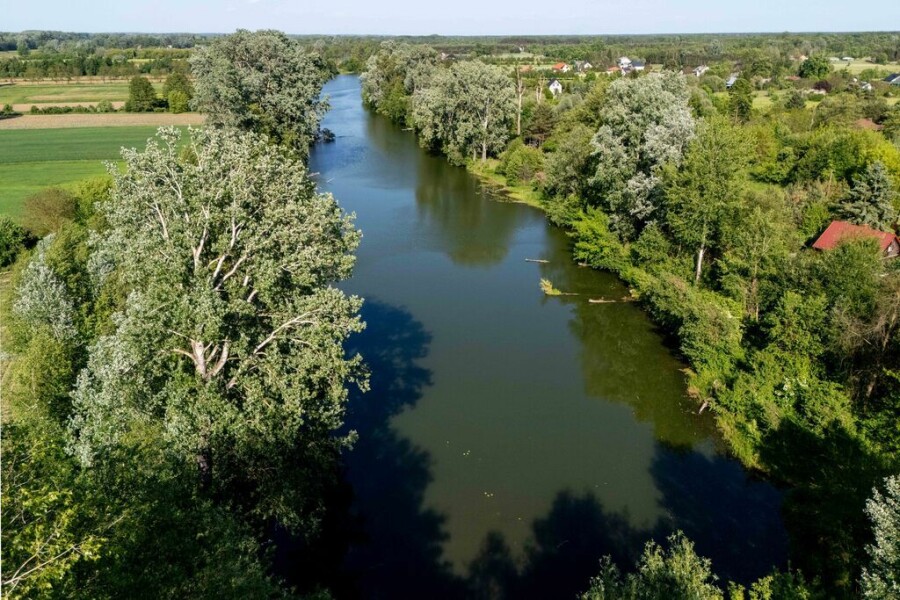 powiat nowodworski, Nowy Secymin, Dom rodzinny z piękna zielenią