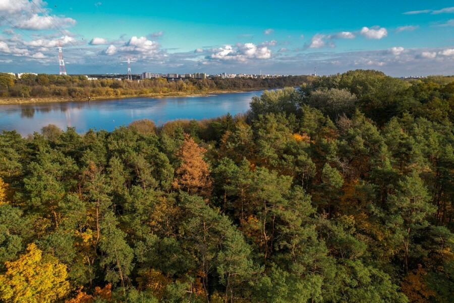 Łomianki, Buraków, 11 Listopada, Dom tuż przy LESIE MŁOCIŃSKIM.