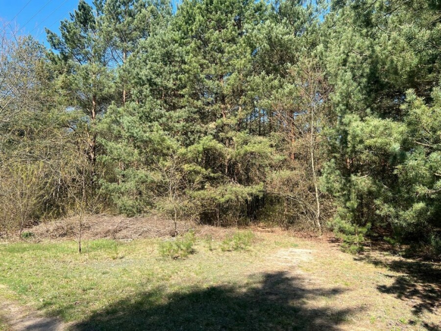 powiat nowodworski, Cieksyn, Działka rekreacyjna | Blisko rzeki | 50 km od W-wy