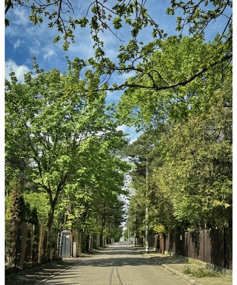 Warszawa, Wawer Radość, Borkowska, Wawer Radość, przedwojenna willa, 45 m², ogródek